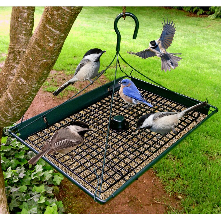 Arlmont & Co. Leandro Platform Tray Bird Feeder & Reviews | Wayfair